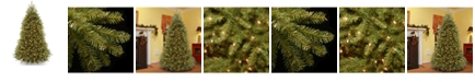 National Tree Company National Tree 6 .5' Dunhill Fir Tree with 650 Clear Lights and PowerConnect ™